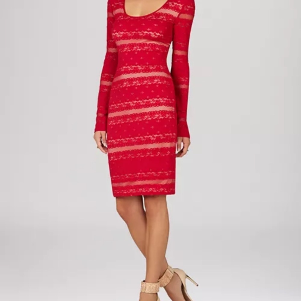 BCBGMaxAzria ‘Tanya’ Stripe Lace Dress In Sangria Women’s Size Medium Tall - Picture 16 of 16